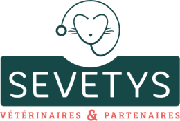 Sevetys logo